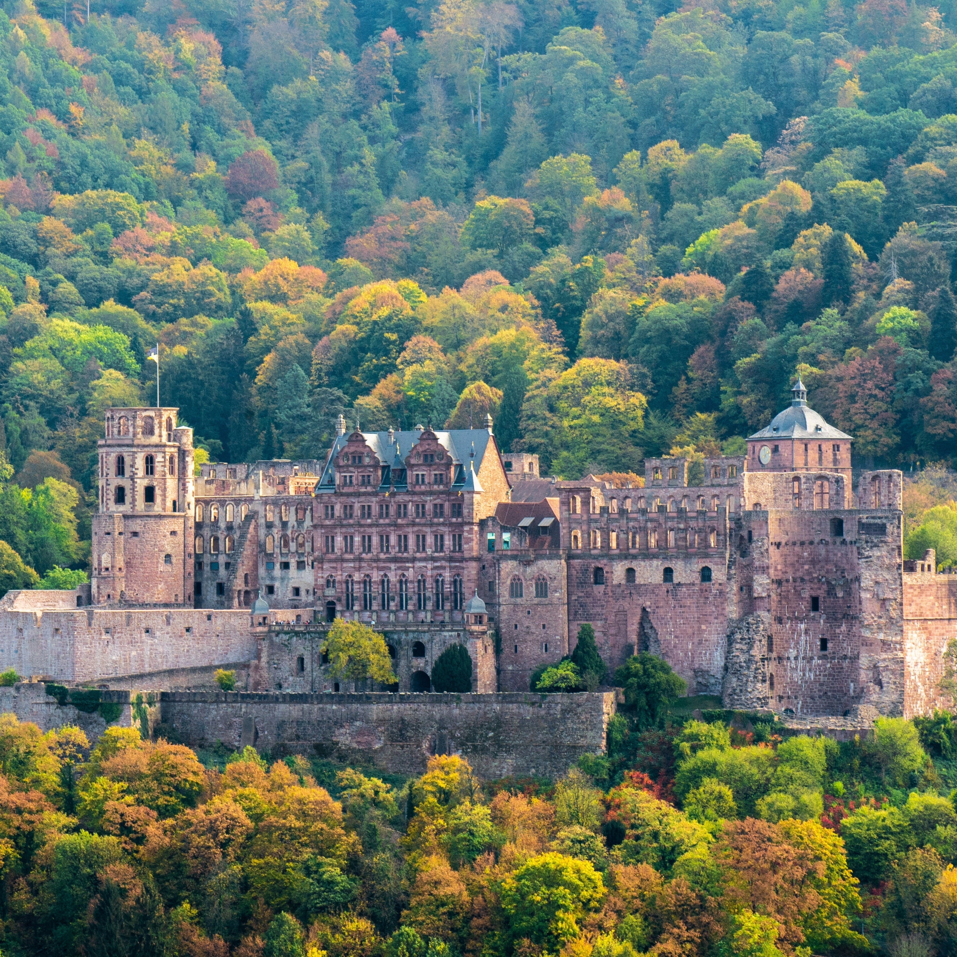Stadt: Heidelberg